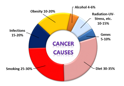 Causes of Cancer Chart